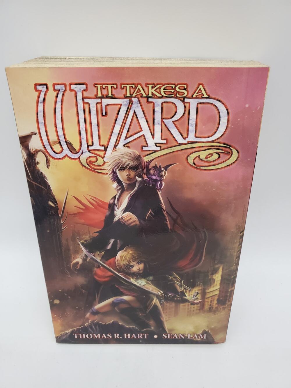It Takes a Wizard Manga - Paperback - Fn+